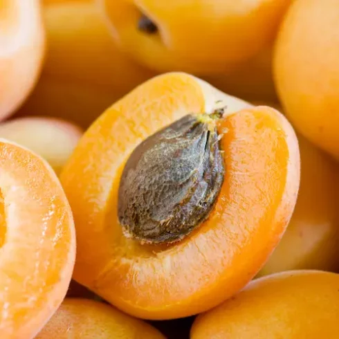 Abricots de Provence
