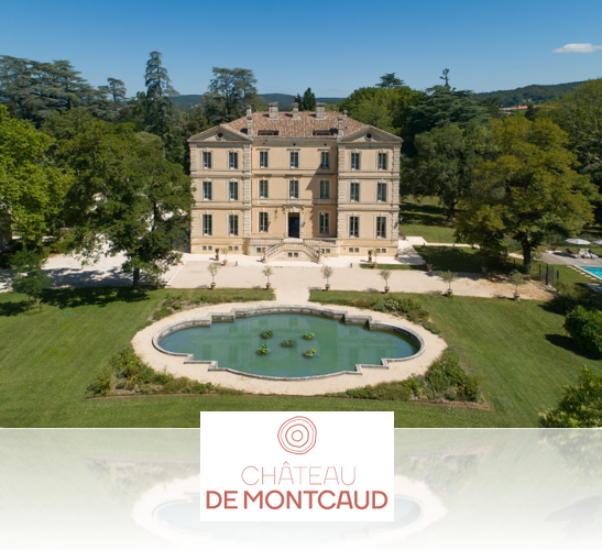 Chateau de Montcaud