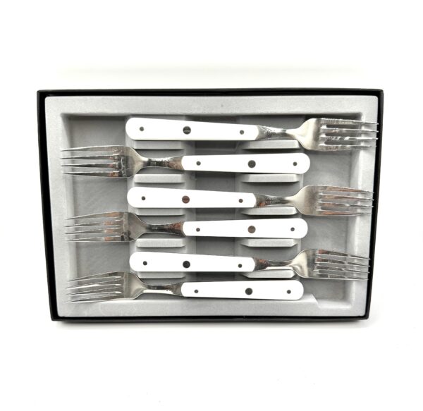Coffret 6 Fourchettes résine - Blanc